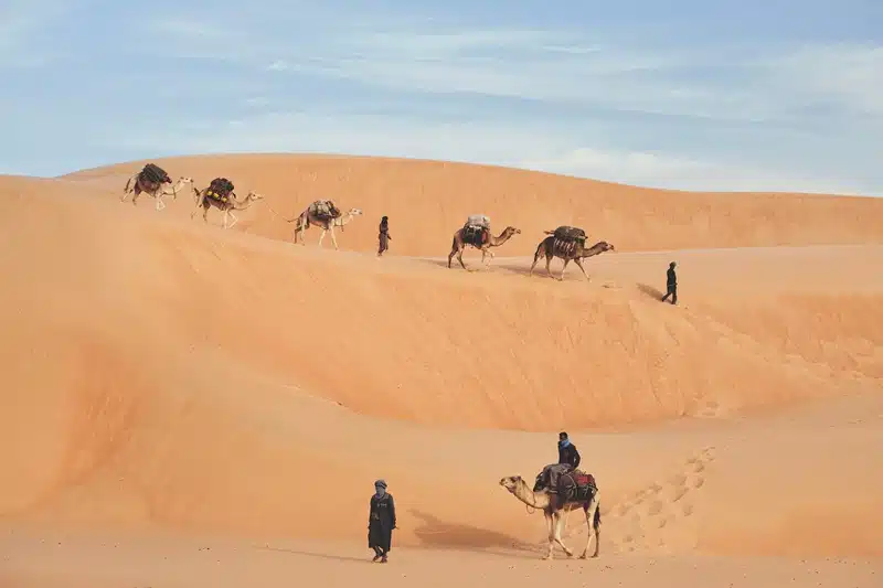 Pourquoi faire de la Mauritanie votre prochaine destination de vacances